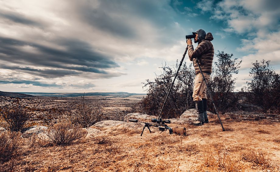 category spotlight image