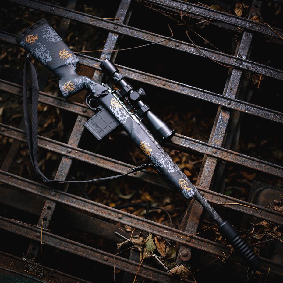 category spotlight image