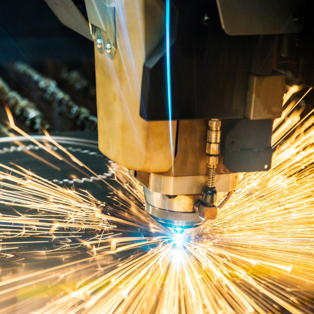 category spotlight image