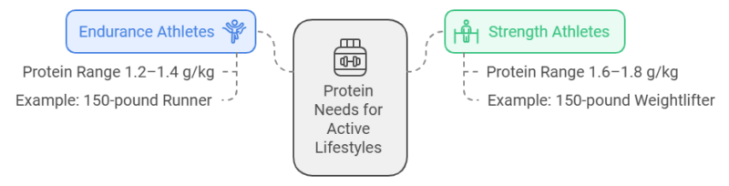 protein needs